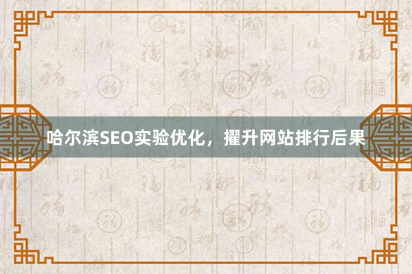 哈尔滨SEO实验优化，擢升网站排行后果